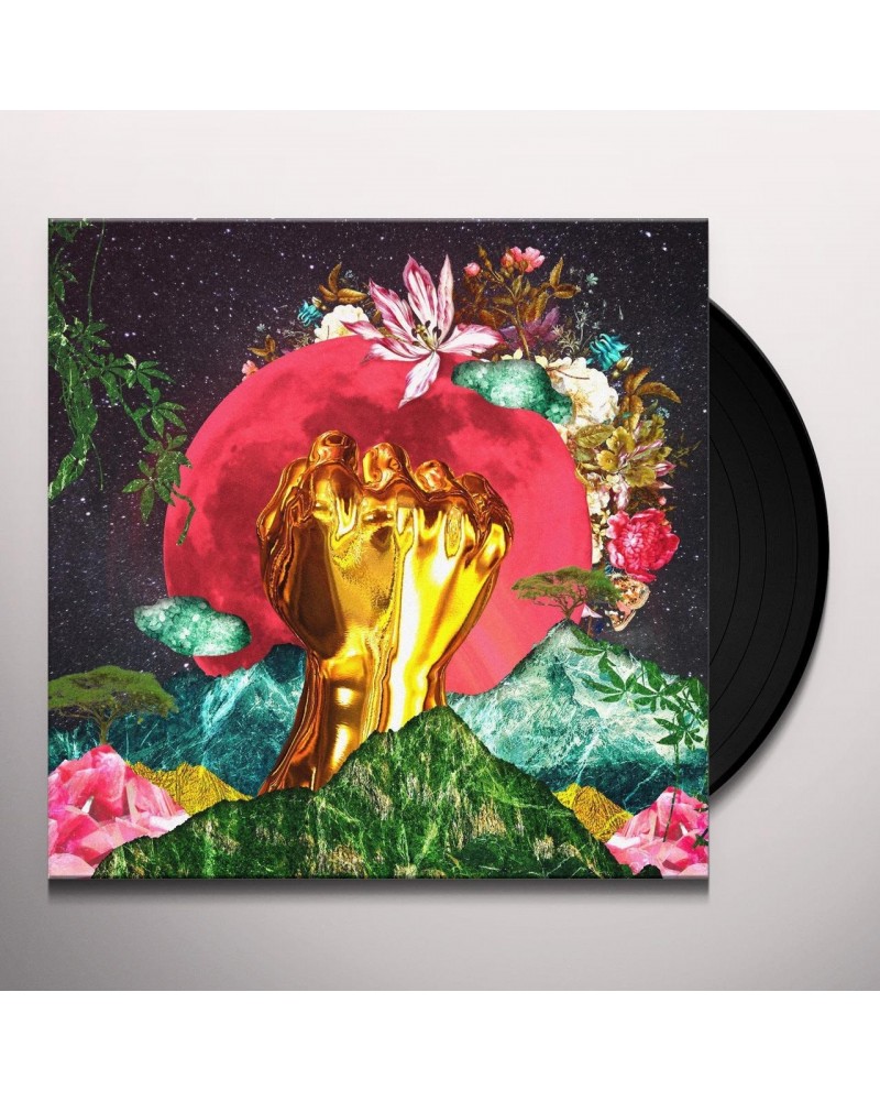 Rina Mushonga In A Galaxy Vinyl Record $7.76 Vinyl