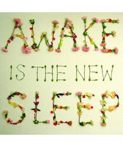 Ben Lee Awake Is the New Sleep Vinyl Record $6.19 Vinyl